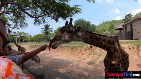 Amateur teen couple visits an animal park and have dirty sex afterwards