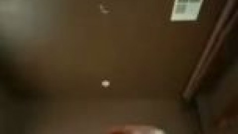 Perky Petite Lingerie