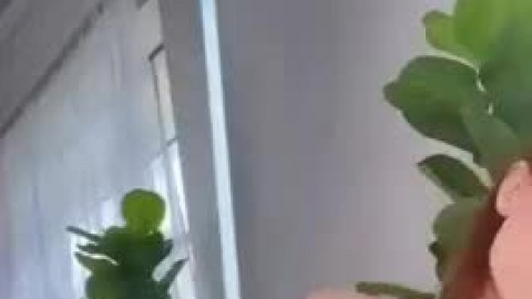 Lingerie Girlfriend Amateur