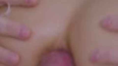 OrangeredFussyFishingcat-mobile