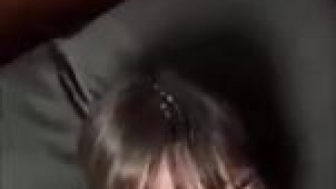 SolidPeacefulCowbird-mobile