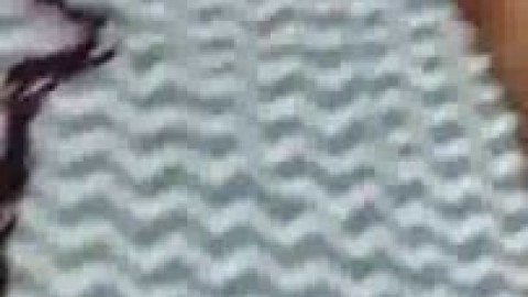 18 year old tag teamed by 2 black guys