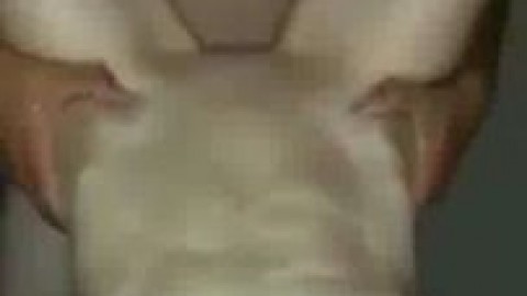 Hotel Meeting With BBC And Her Creamy Pussy