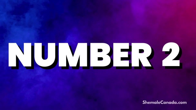 2 Incredible Ottawa Attractions To Explore With A Local Trans Companion