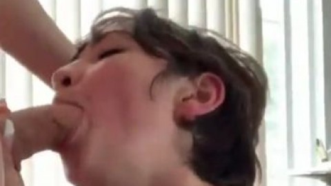 AmazingTransparentQueenalexandrasbirdwing