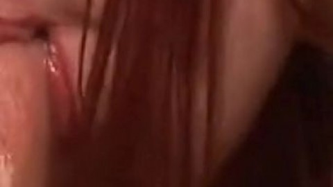 PertinentSilverGrosbeak