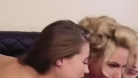 OrchidMeekOropendula