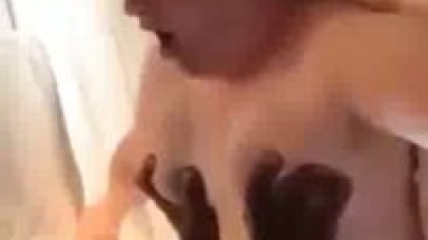 White Pussy absolutely DESTROYED by Black Cocks