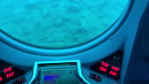 Horny69rabbits Public Masturbation With Lovense (Lush Hd Sexy Vanessa Fuck