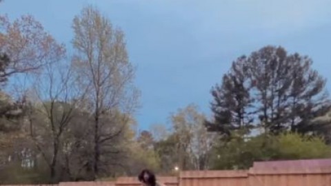 Samantha B. CharliDior ThickBXx - nsfw.su/brohas