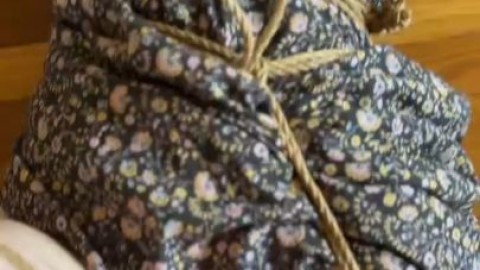 sp00kyb00ty666 amandastarkX shiori natsumi - sexonly.top/phvfas