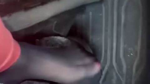 Granitestaterx_431356_lustful.su