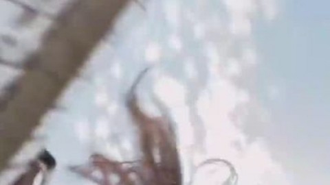 hanysy Lilianabanks_ PandaSux N Fux - nsfw.su/anycky